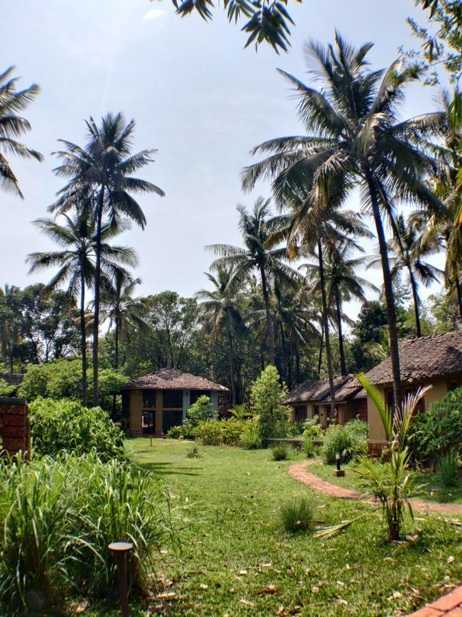 The Orchard Resort Belgaum Eksteriør billede